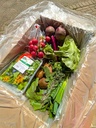 Box Biodinamica