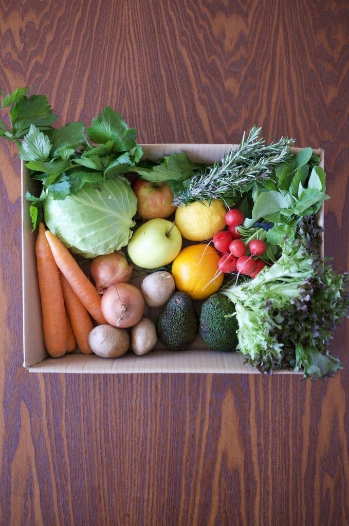 Box Biodinamica